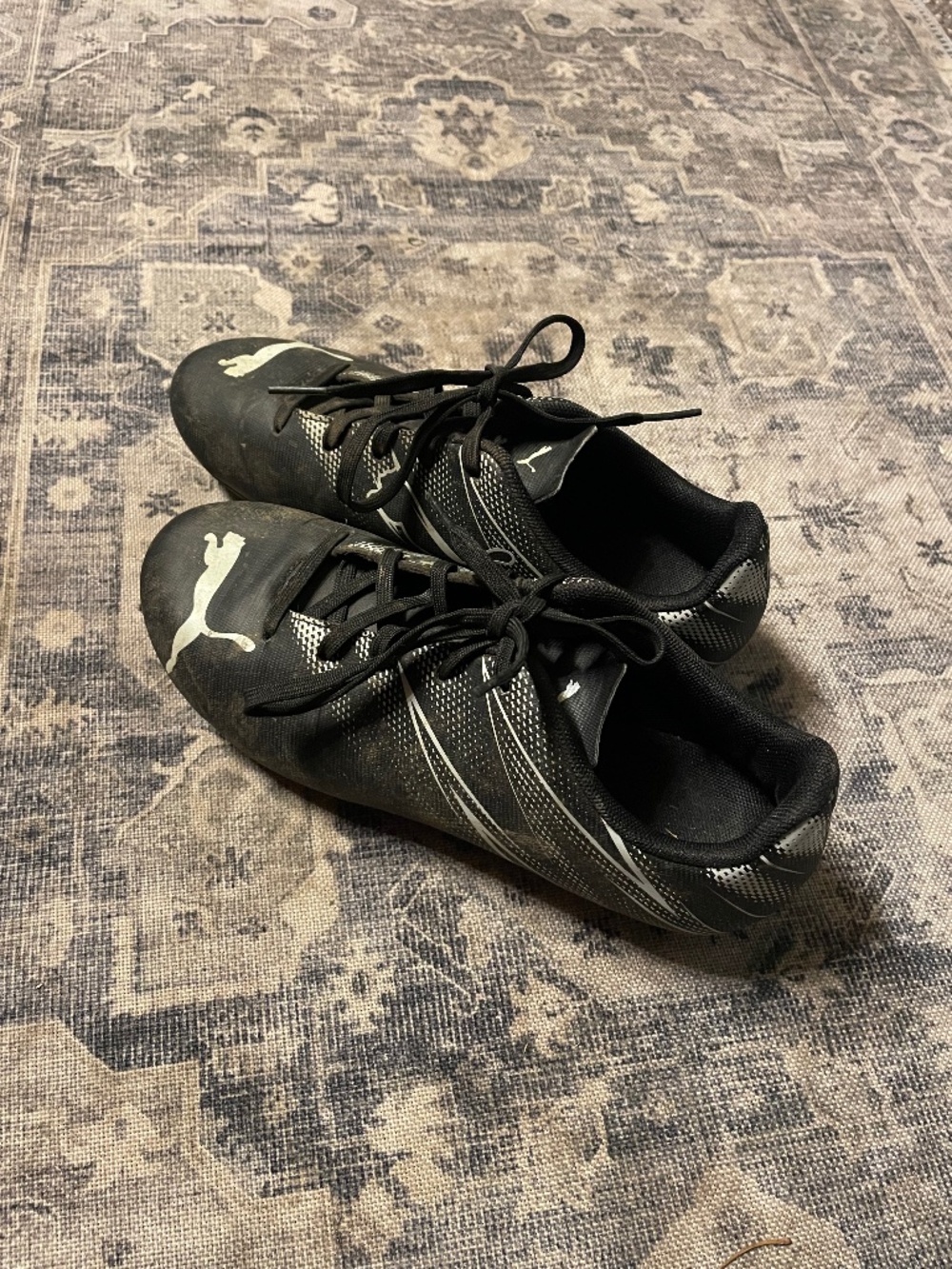 Puma Youth Soccer Cleat 3.5